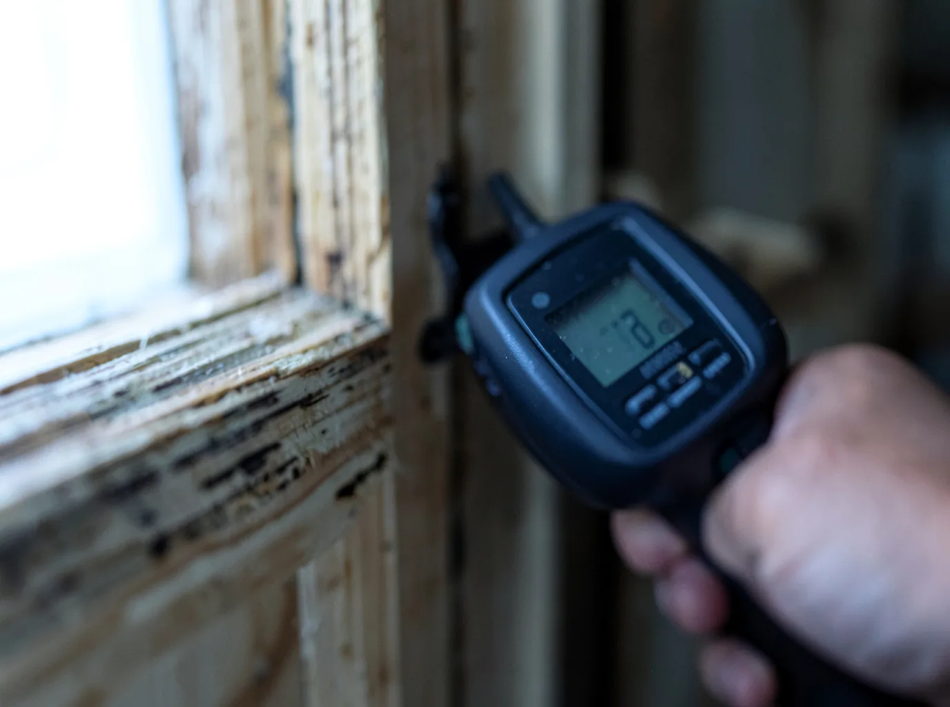 Moisture Inspection And Documentation in Buena Vista, VA